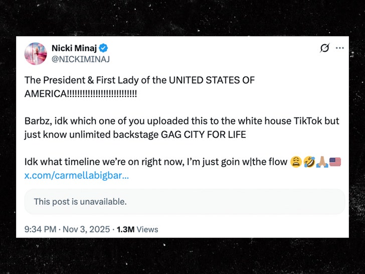 Nicki Faces Backlash Over Trump White House TikTok