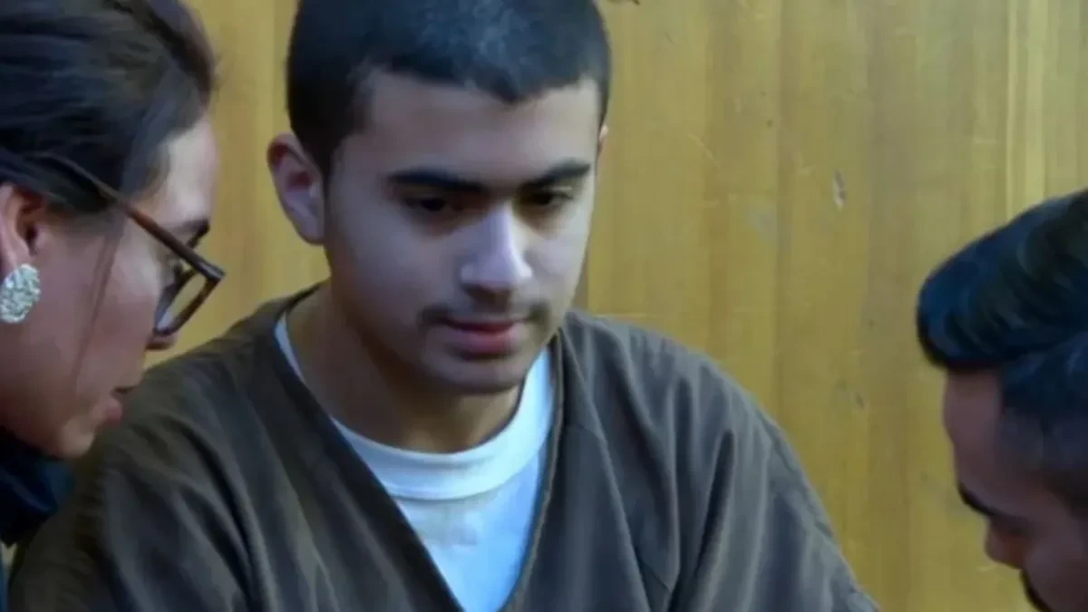 Son Stabs Mother Over 40 Times Because She Was Mean to Him Growing Up