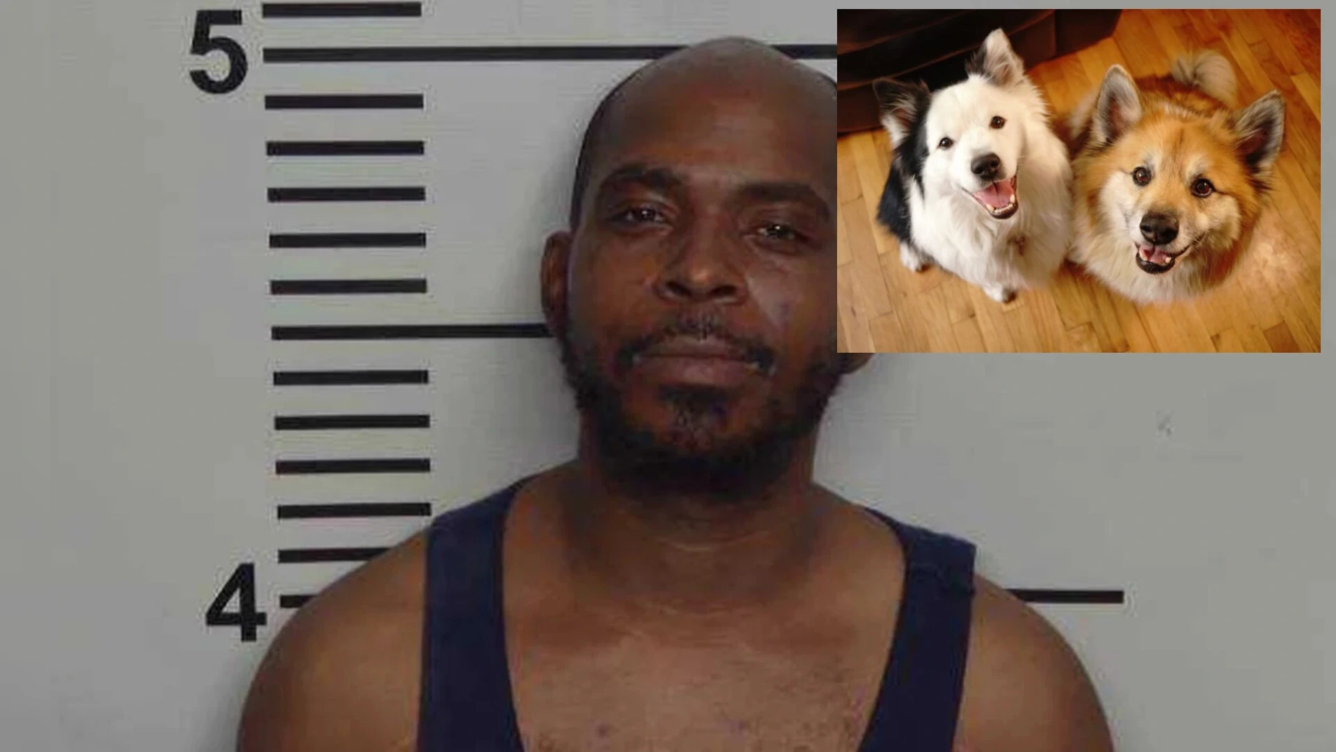 Kentucky Man Sets Wife Dogs On Fire After Affair Exposed