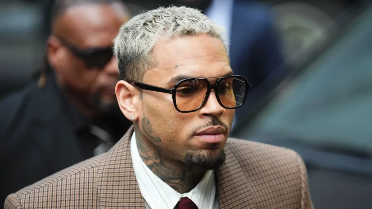 Chris Brown Tries To Block Rihanna Assault In Court