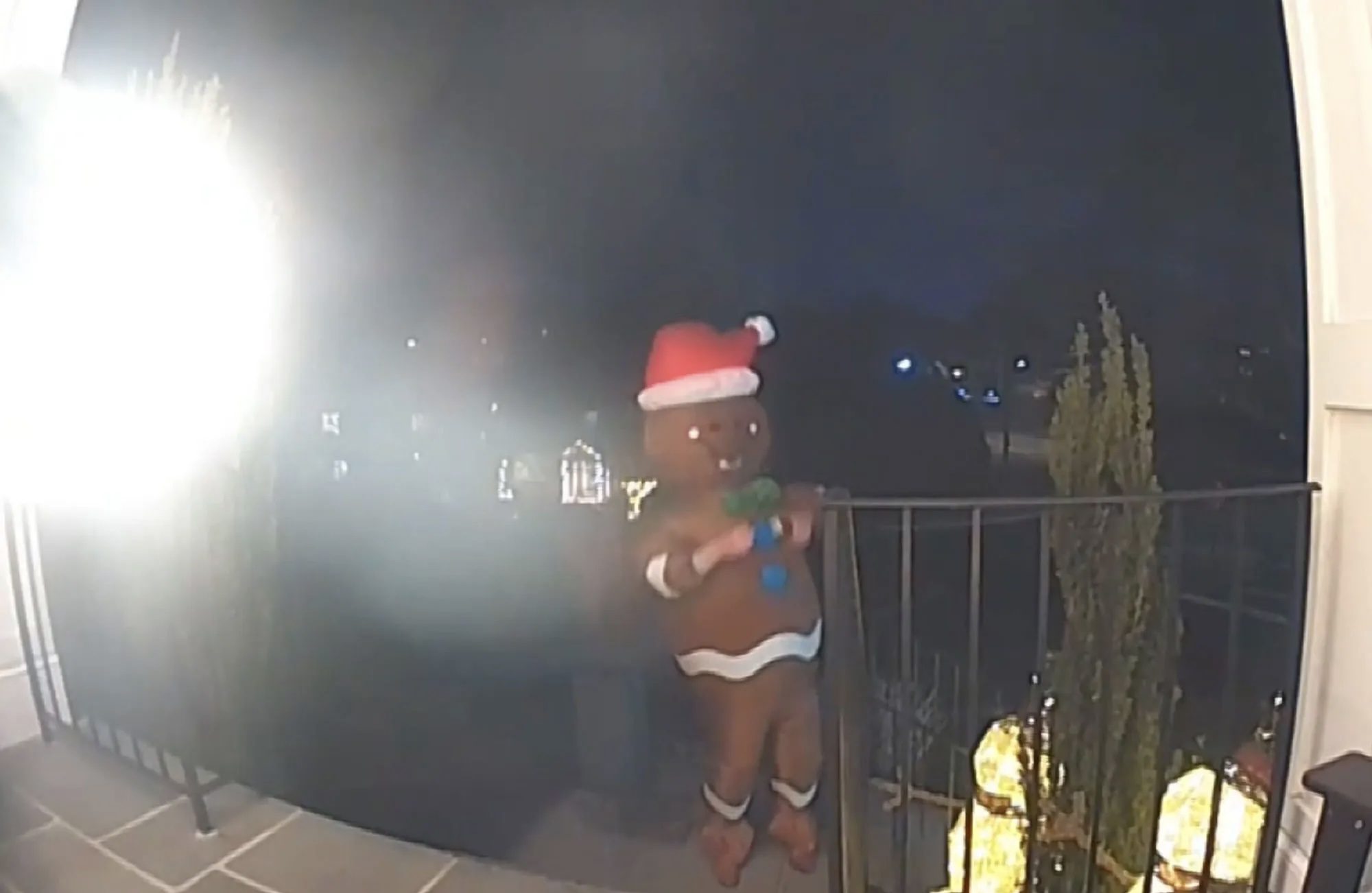Virginia Man Disguised As A Gingerbread Man